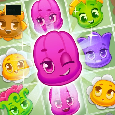 Flower Story Match