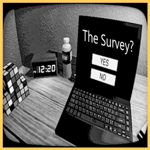 THE SURVEY