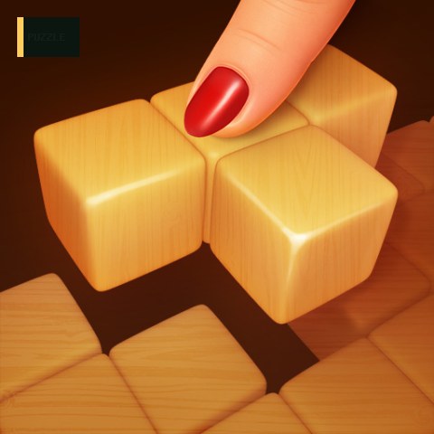 Wood Block Puzzle 3