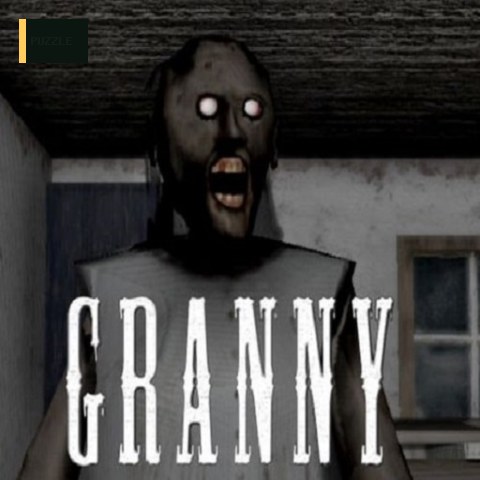 Scary Granny : Horror Granny Games