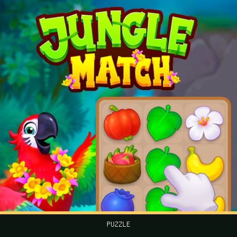 Jungle Match