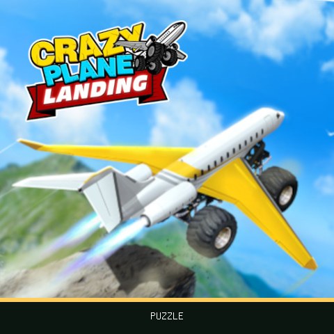 Crazy Plane Landing