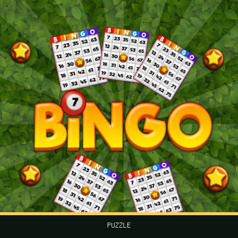 Bingo Revealer