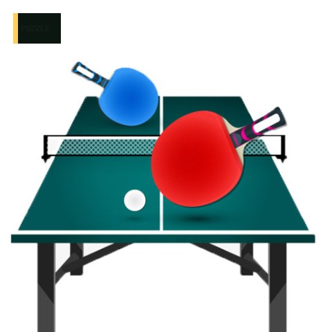 Table Tennis Pro