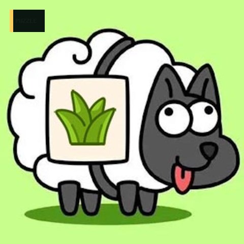 Sheep Sheep!